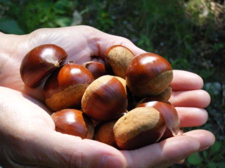 【アダルト注意】Hが下手くそな人あるある