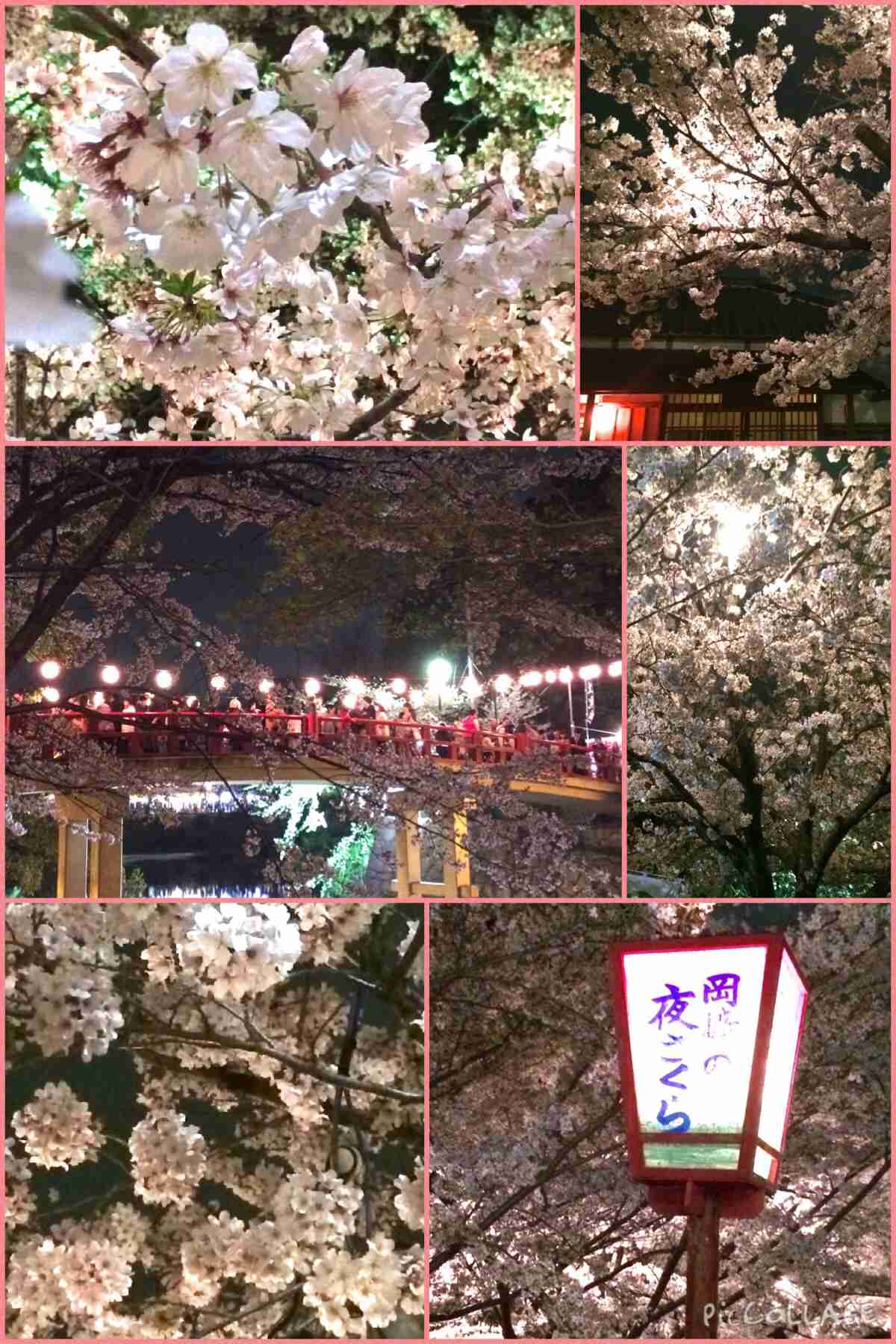 今年撮れた桜の写真「とっておきの一枚」♡