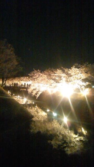 今年撮れた桜の写真「とっておきの一枚」♡
