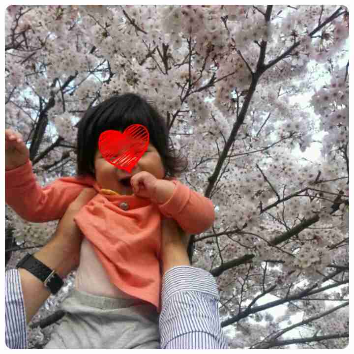 今年撮れた桜の写真「とっておきの一枚」♡