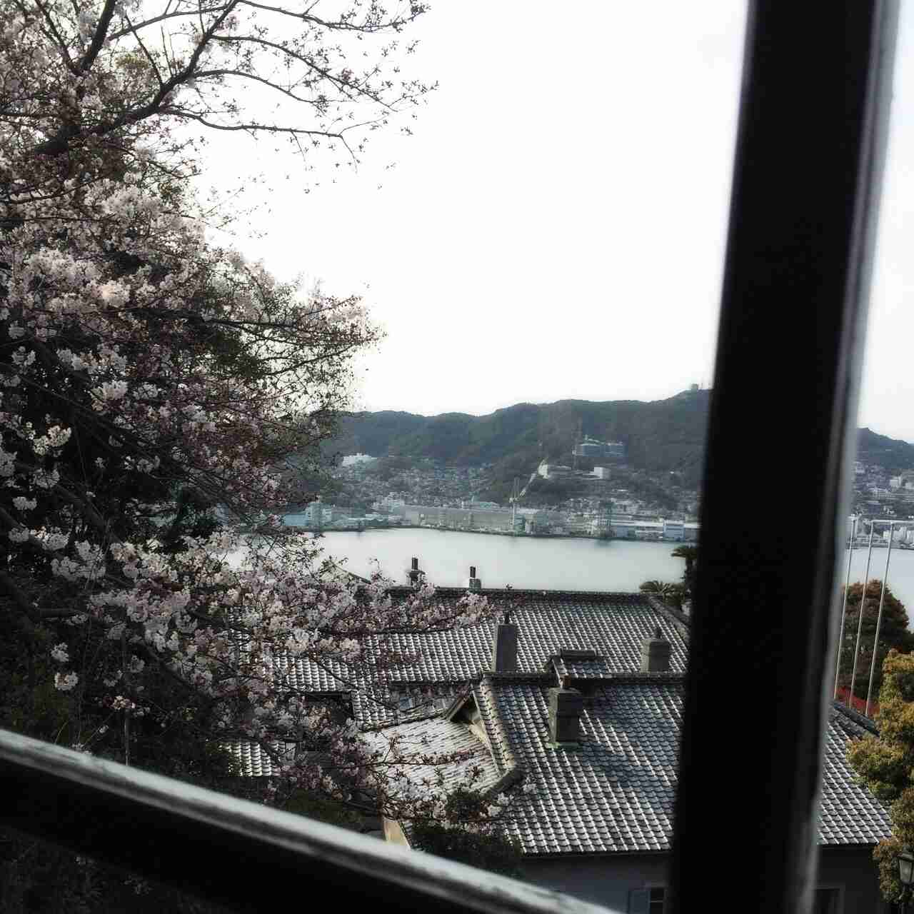 今年撮れた桜の写真「とっておきの一枚」♡