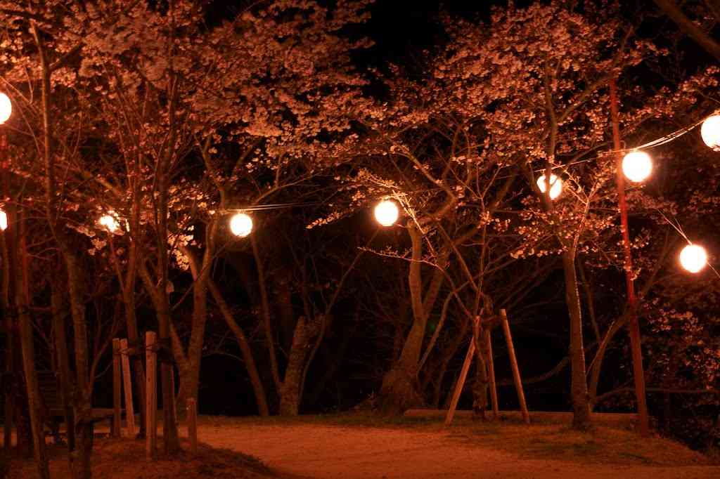 今年撮れた桜の写真「とっておきの一枚」♡