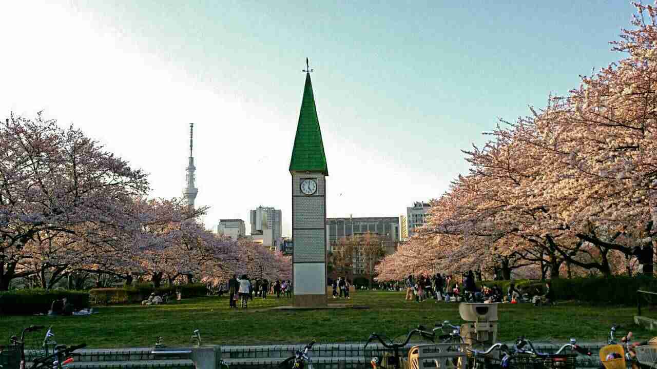 今年撮れた桜の写真「とっておきの一枚」♡