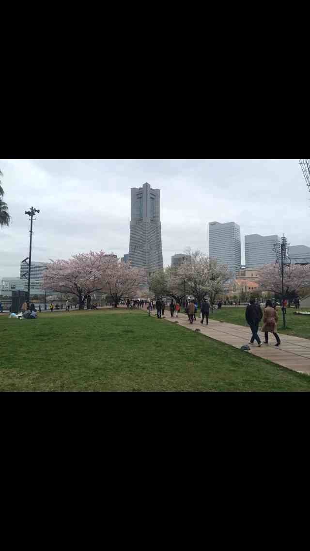 今年撮れた桜の写真「とっておきの一枚」♡