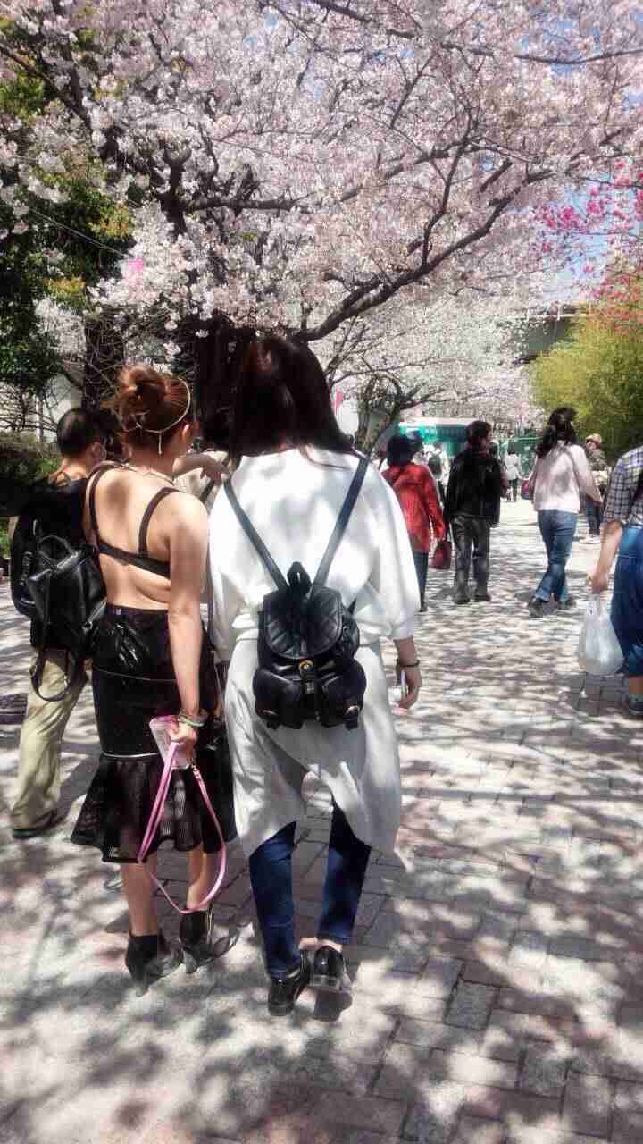 今年撮れた桜の写真「とっておきの一枚」♡