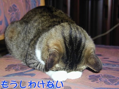 全面的に謝るトピ