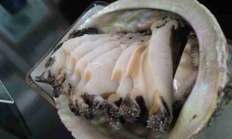 食感が苦手な食べ物