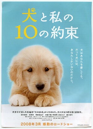 一番泣いた映画は?