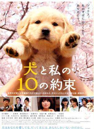 一番泣いた映画は?