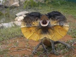 これを・この人を知っていたら、おばさん認定⁉︎