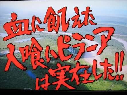 これを・この人を知っていたら、おばさん認定⁉︎
