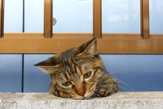 憂鬱なことが待ってる方！