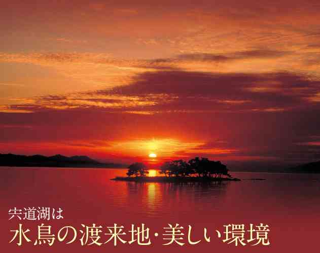 夕日を見るのが好き！