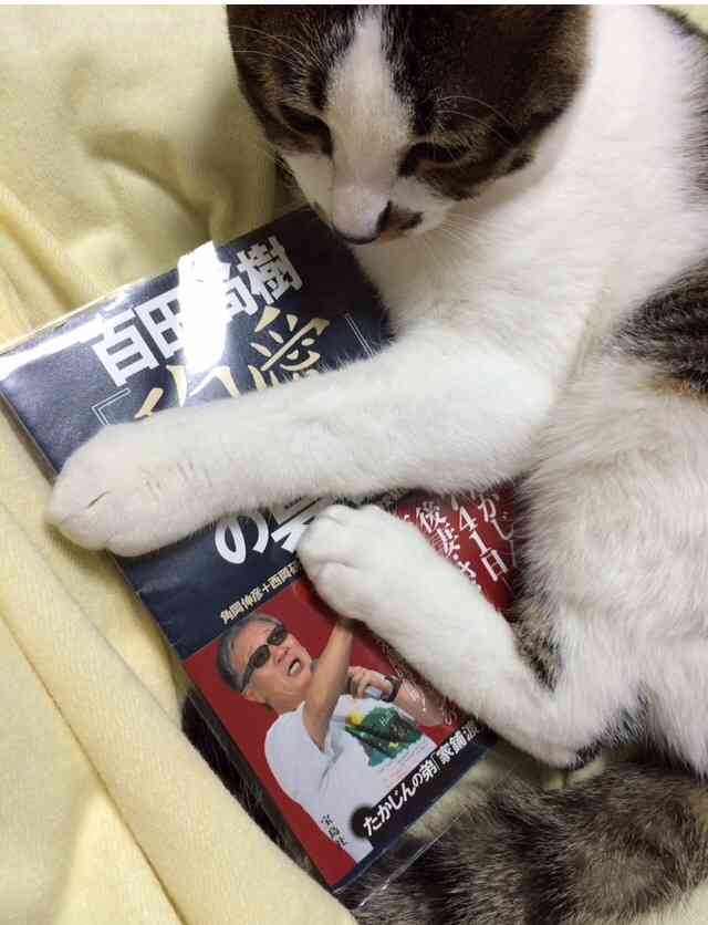 出口見えない「殉愛」裁判…やしきたかじん妻さくらさんはネット中傷で体調不良