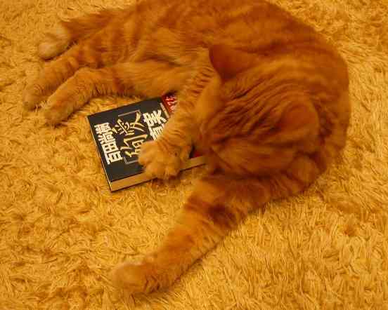 出口見えない「殉愛」裁判…やしきたかじん妻さくらさんはネット中傷で体調不良