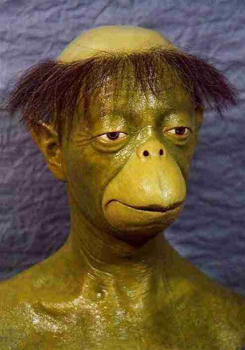 出口見えない「殉愛」裁判…やしきたかじん妻さくらさんはネット中傷で体調不良