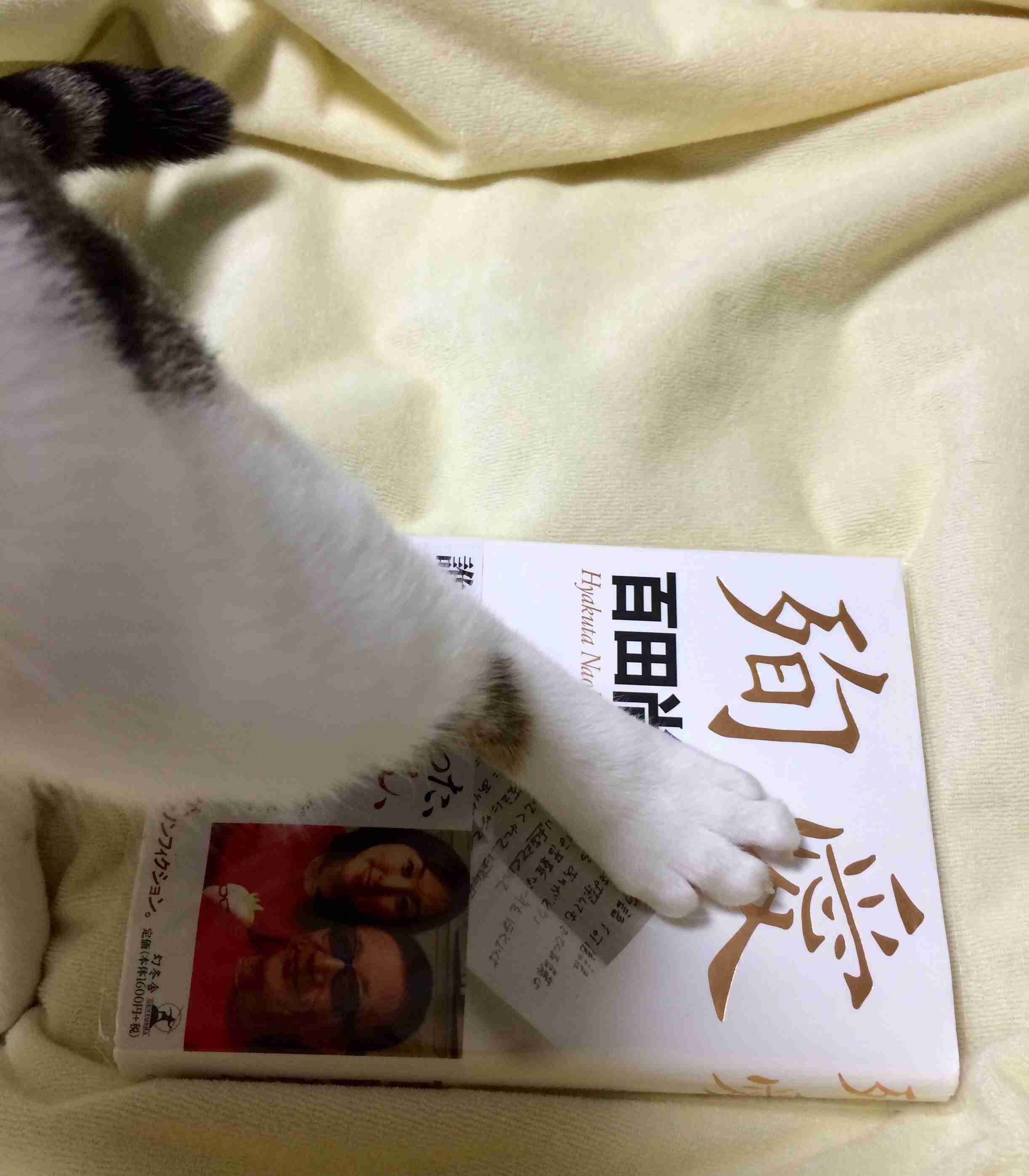 出口見えない「殉愛」裁判…やしきたかじん妻さくらさんはネット中傷で体調不良