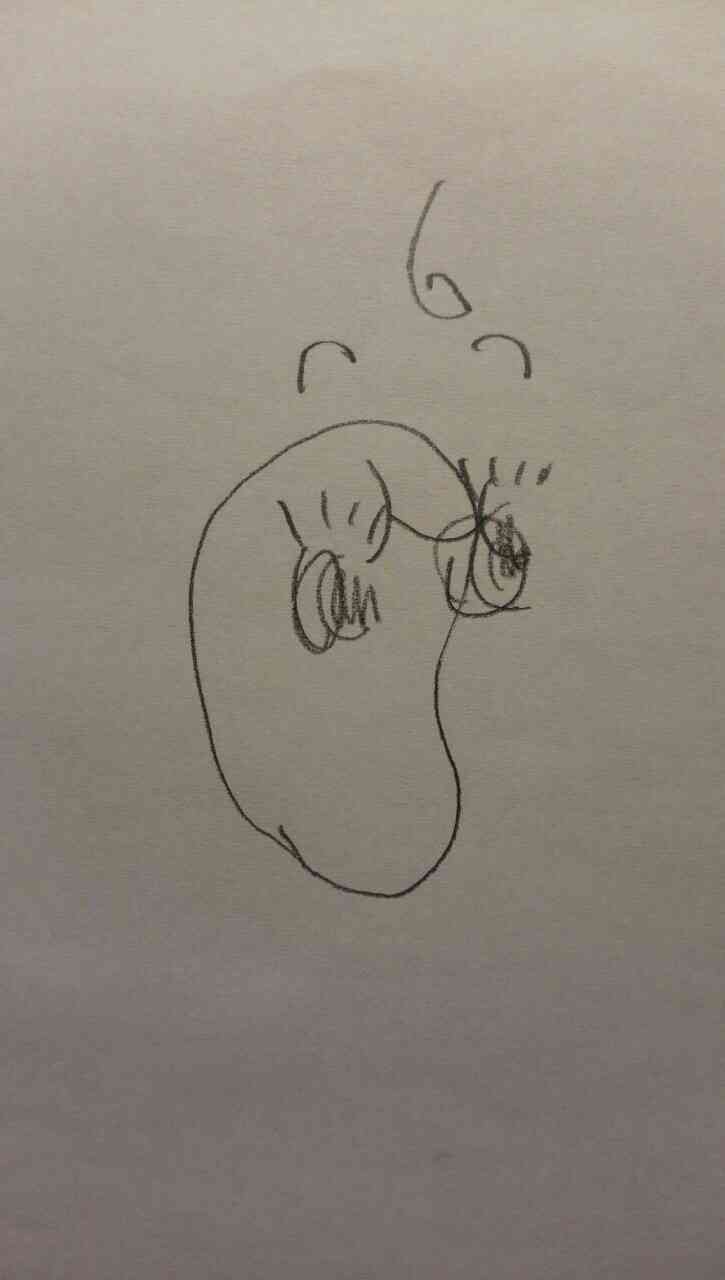 お絵描きトピ