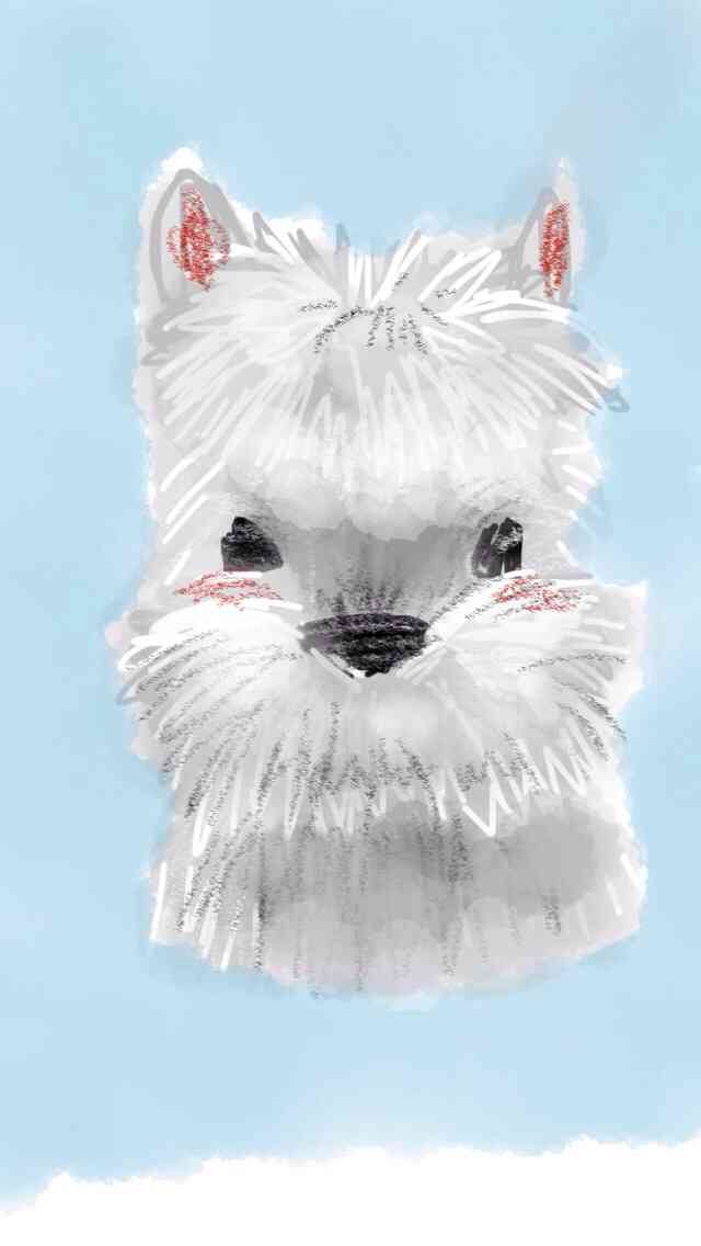 お絵描きトピ