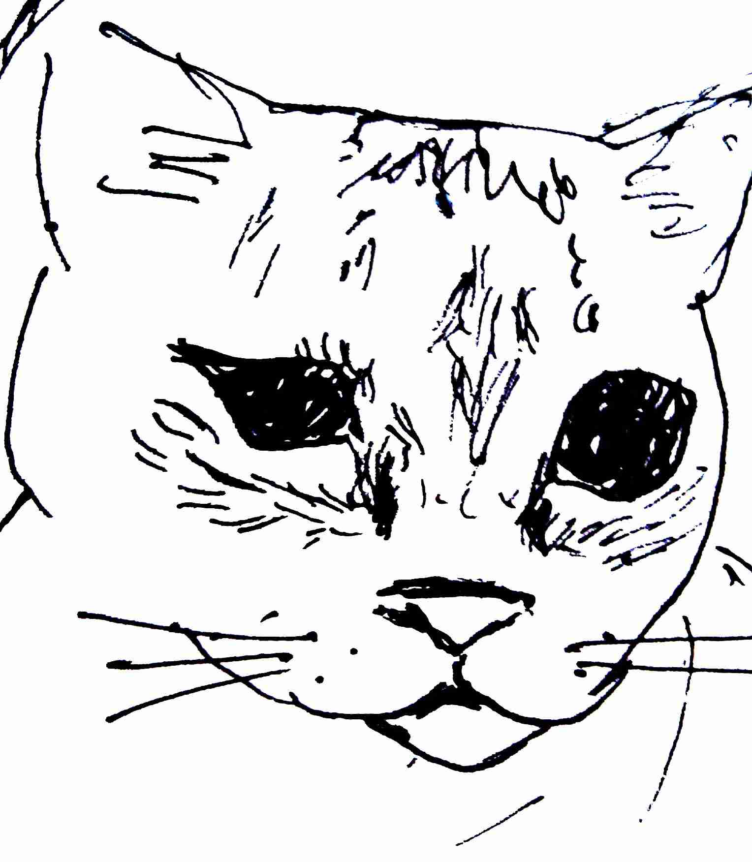 お絵描きトピ