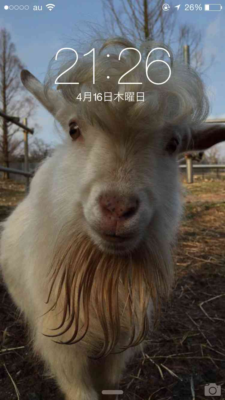 ロック画面を貼るトピ