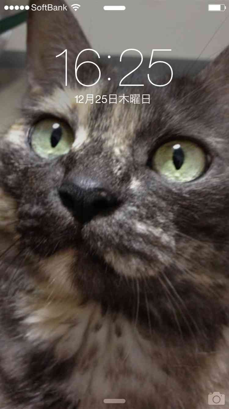 ロック画面を貼るトピ