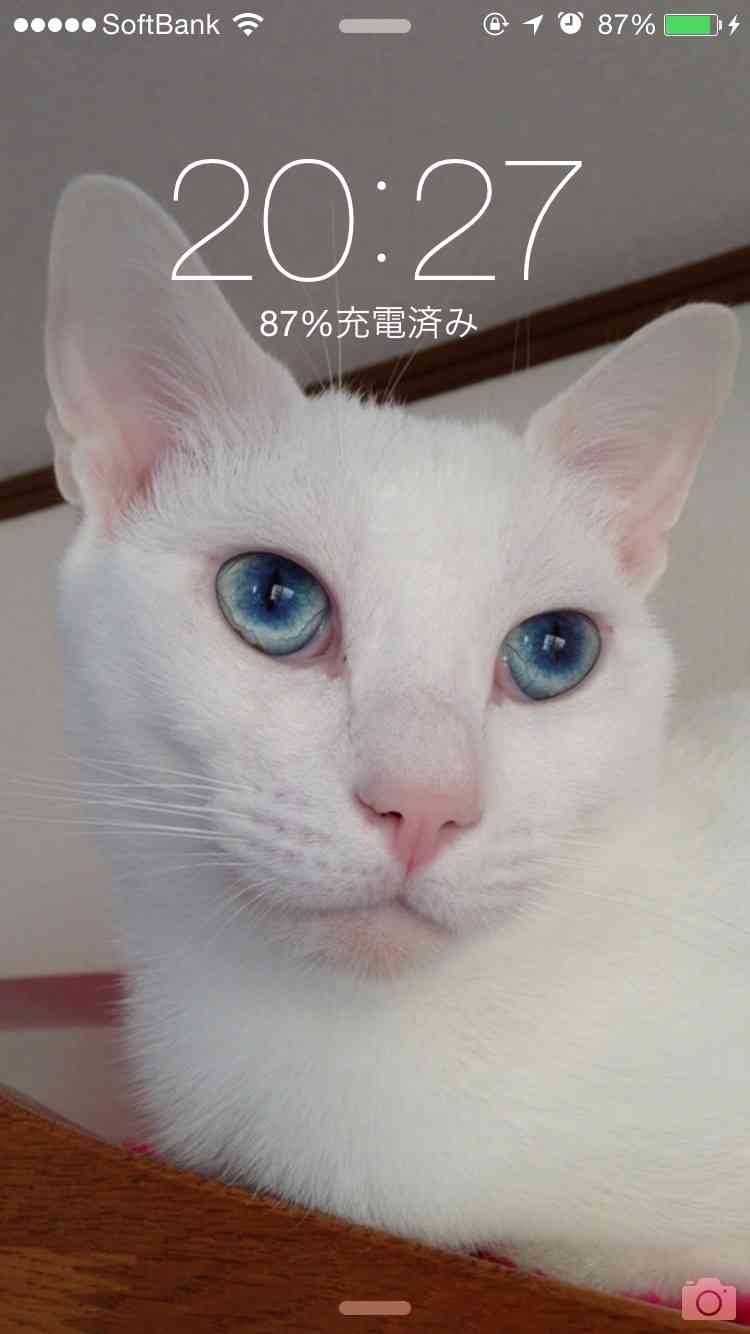 ロック画面を貼るトピ
