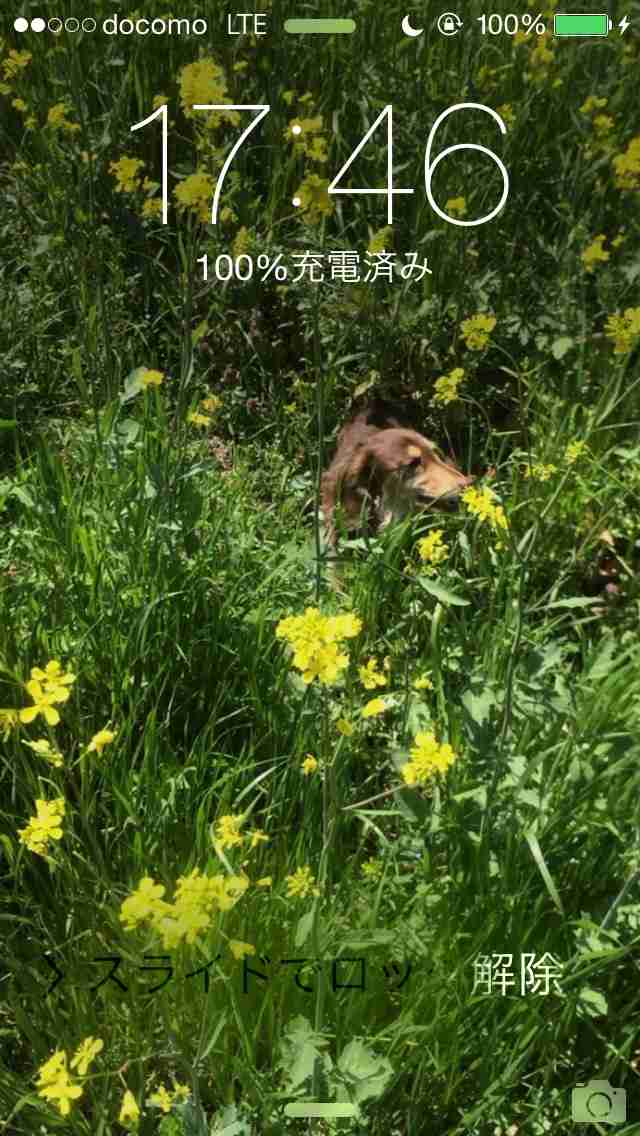 ロック画面を貼るトピ