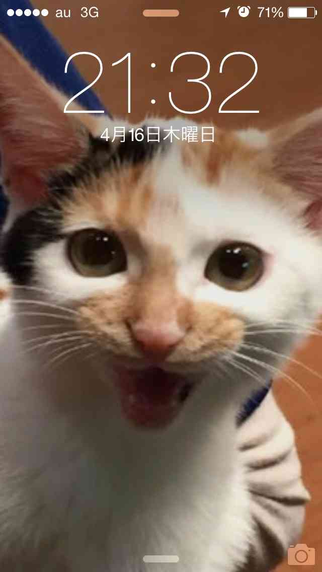 ロック画面を貼るトピ