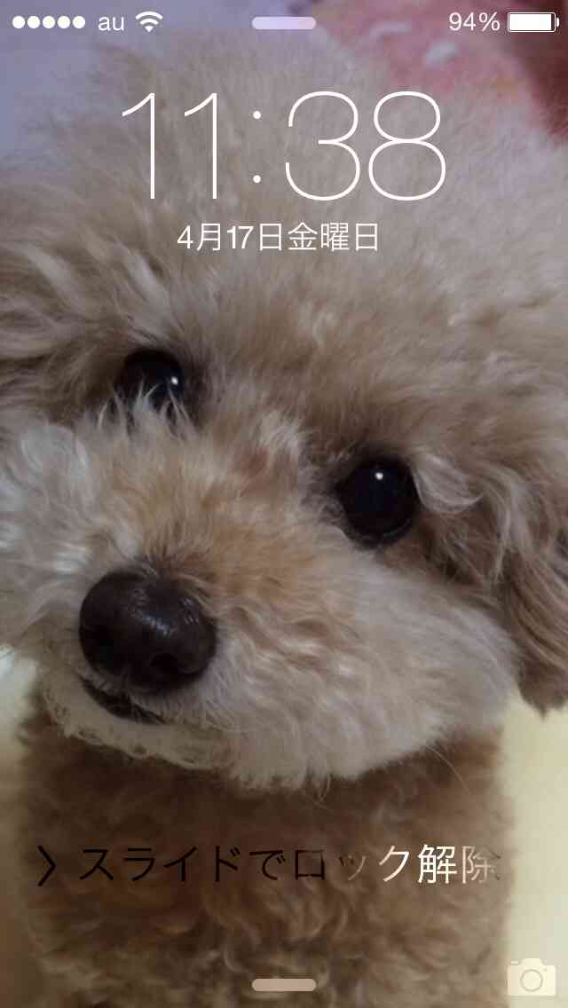 ロック画面を貼るトピ