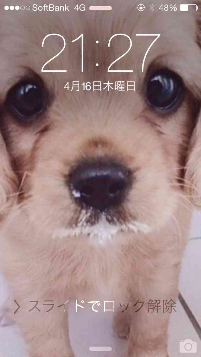 ロック画面を貼るトピ