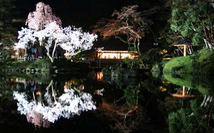 行きたい桜の名所