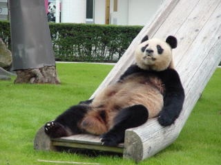 ヤル気ゼロの時どんな風に過ごす？