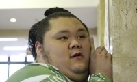 和む画像ください