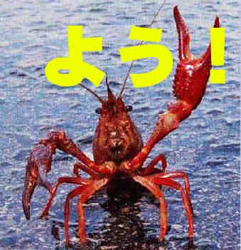 和む画像ください