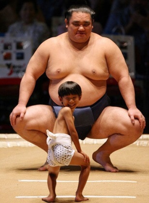和む画像ください