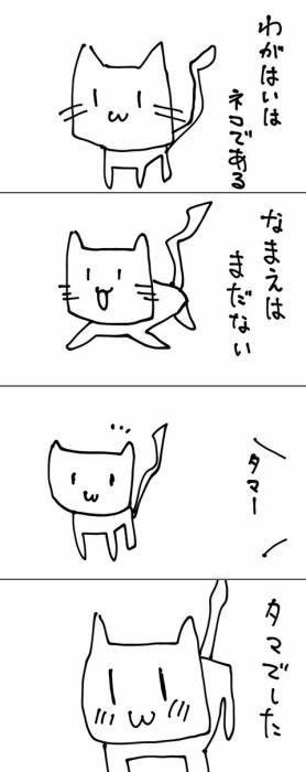 和む画像ください
