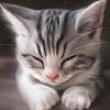 和む画像ください