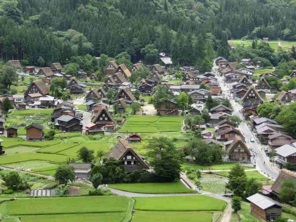 和む画像ください