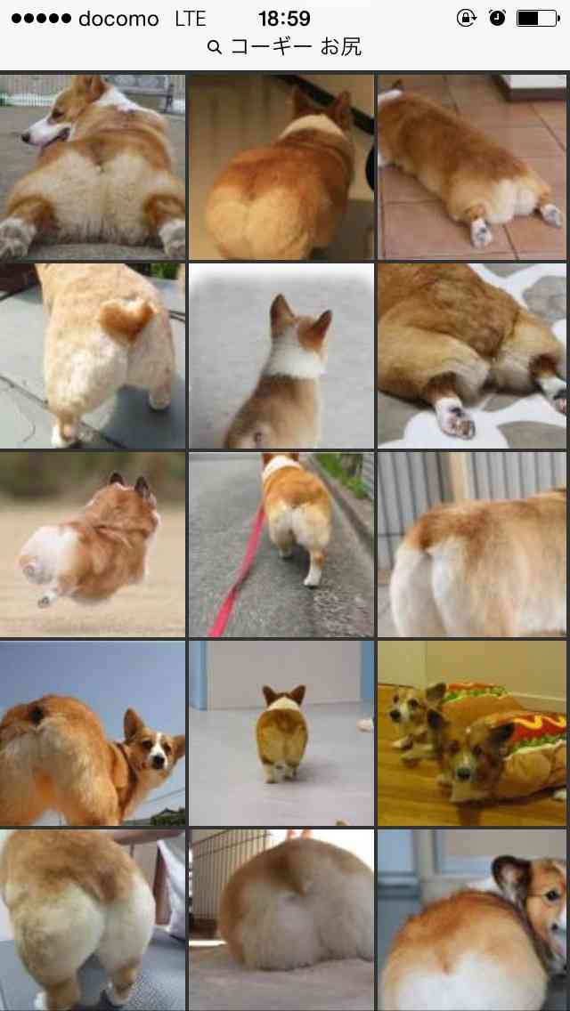 和む画像ください