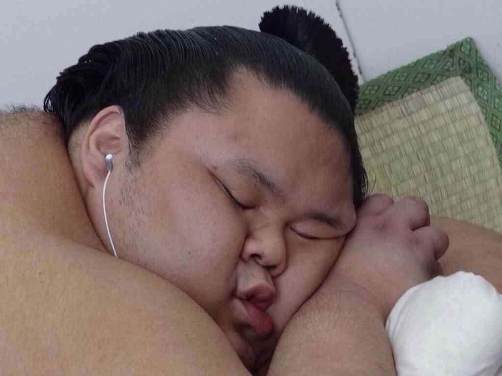 和む画像ください