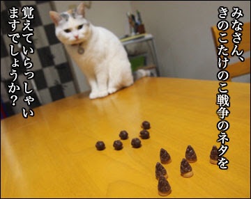 ようやく分かった親のありがたみ!