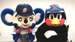 芸能人の始球式って必要ですか？