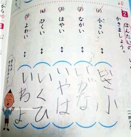面白回答画像