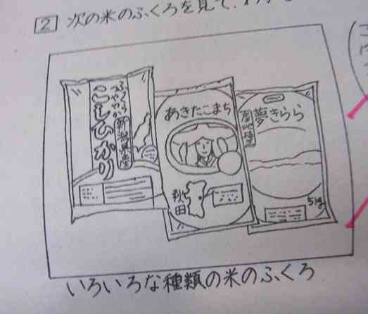 面白回答画像