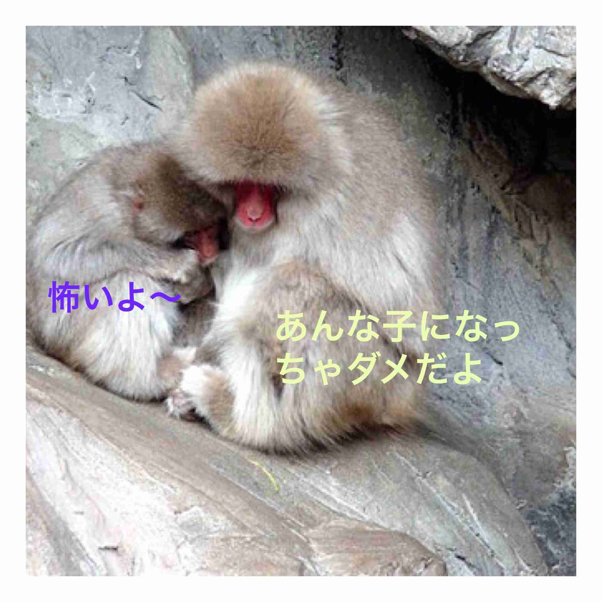 「まぶたのおさいほう」って!? アイドル・フラップガールズスクールの佐藤優香の斬新すぎる整形告白が話題に