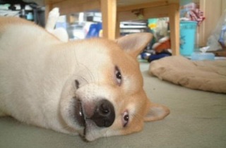 超ズボラな人