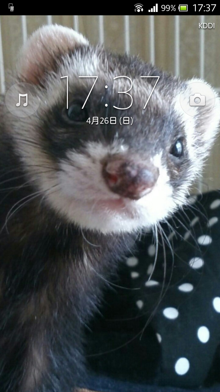 スマホのホーム画面を晒すトピ