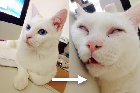 寝てる時の癖ありますか？