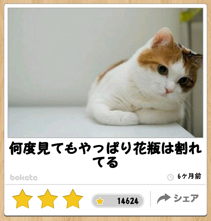 愛猫目線で書き込むトピ